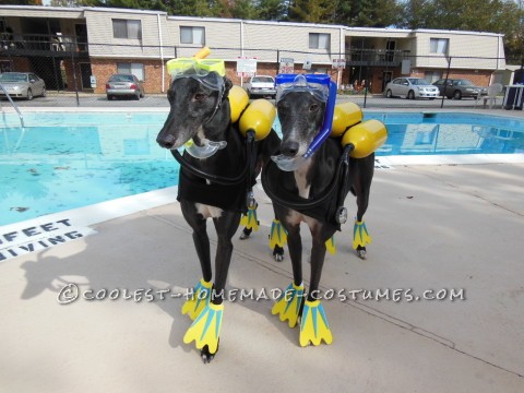 Perros frescos bajo el agua