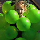¿Tienes uvas?  Esta es la señorita Audrey Lee.  Su disfraz de racimo de uvas estaba hecho de forma sencilla (y asequible) con globos verdes,