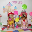 Disfraces caseros de King Candy y Princess Lolly para nuestros perros