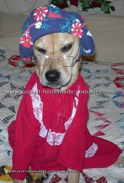 disfraces de halloween para perros