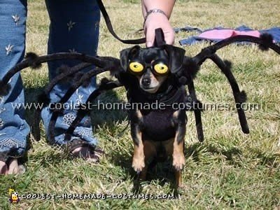 disfraces de halloween para perros