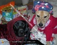 disfraces de halloween para perros