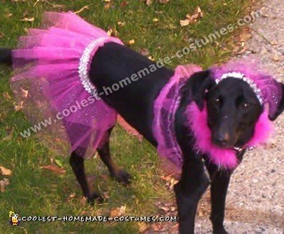 disfraces de halloween para perros