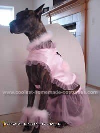 disfraces de halloween para perros