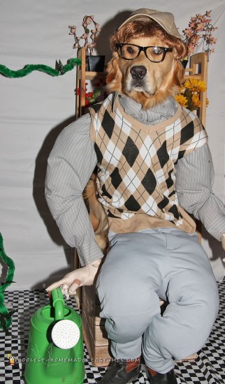 The Coolest Horror Shop Disfraces para perros