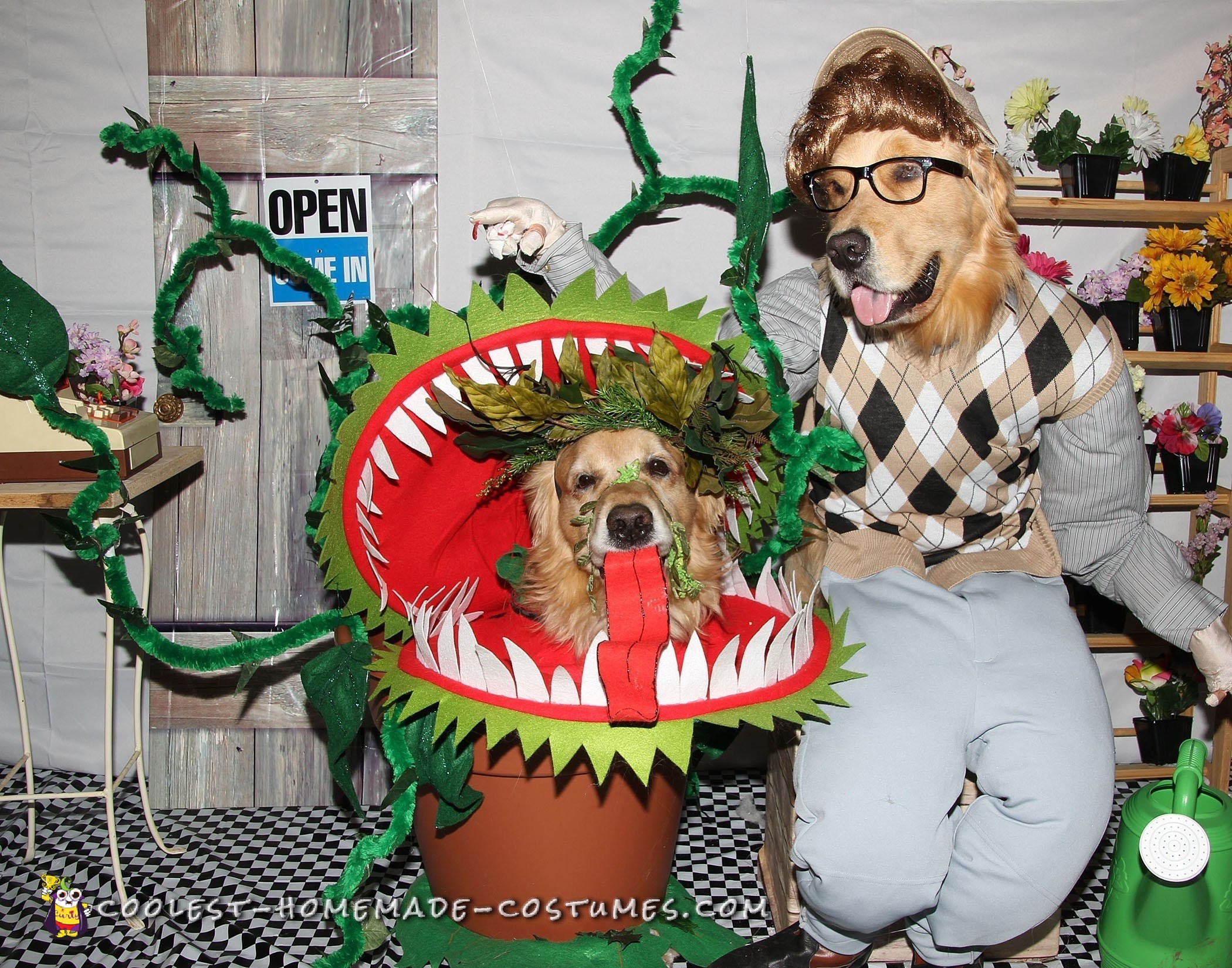 Coolest Homemade Costumes