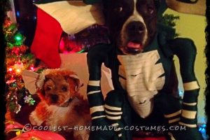 Geniales disfraces caseros para perros: ¡Gremlins!