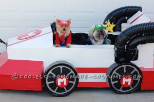Impresionante disfraz casero para tus perros: Mario Kart Dogs!