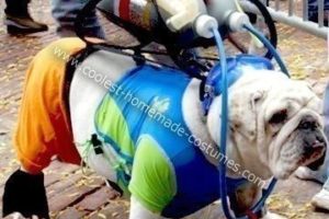 El mejor disfraz de bulldog de buceo hecho en casa