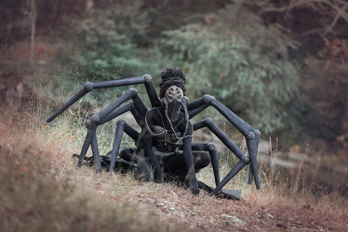 Araña hermosa y espeluznante