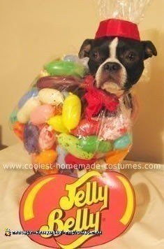 El disfraz de perro Jelly Belly más genial - Ideas de disfraces de Halloween para perros