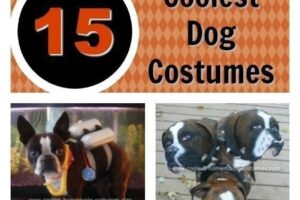 Las 15 mejores ideas caseras para disfraces de perros para Halloween