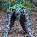 Genial disfraz del Señor de los anillos Tree Ent (Tree Monster) hazlo tú mismo