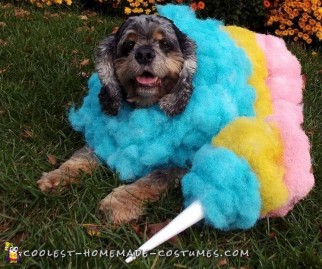 disfraz de halloween para perros hazlo tu mismo