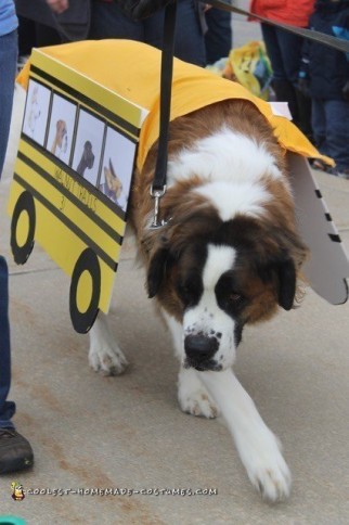 Disfraz de autobús escolar para perro de terapia