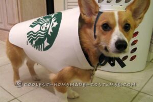 Disfraz de perro Starbucks: simple y económico