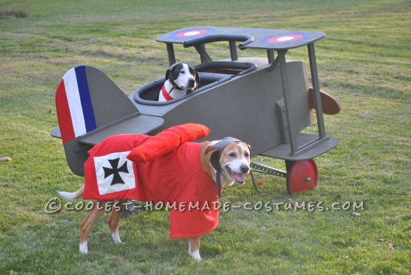 Snoopy contra el Barón Rojo