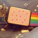 ¡Disfraz de gato súper simple - Nyan Cat!