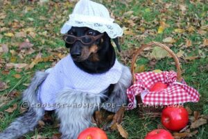 Disfraz de perro lobo feroz (como abuelita)