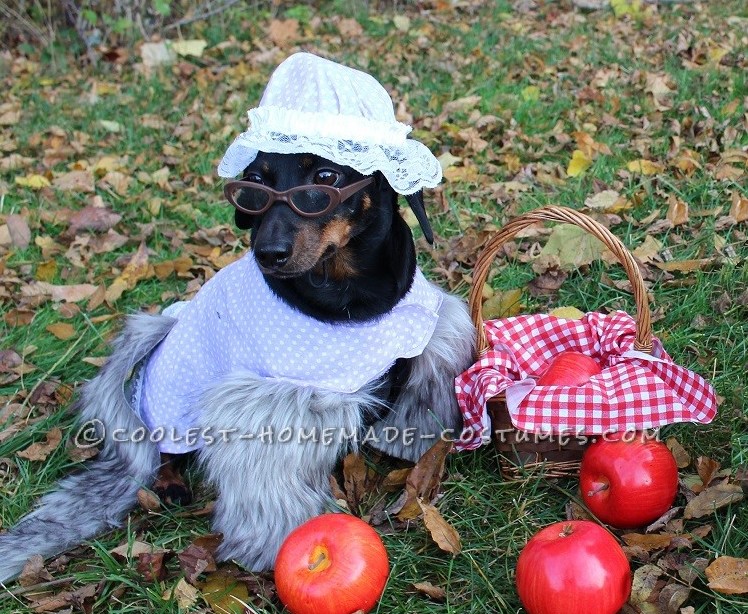 Coolest Homemade Costumes