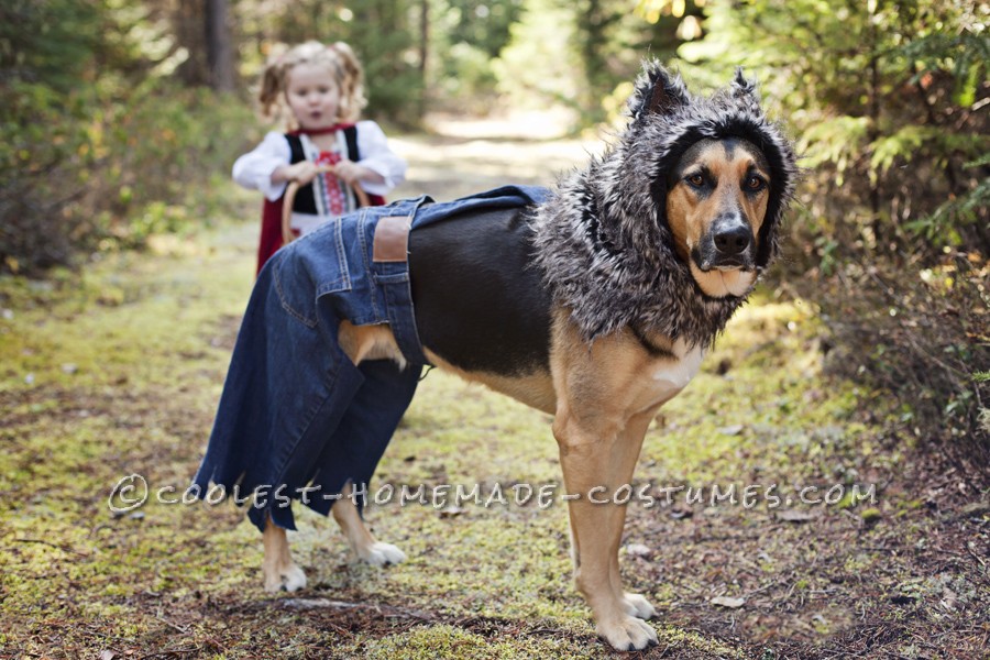 Coolest Homemade Costumes