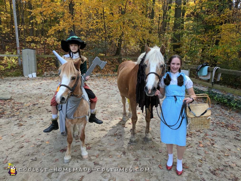 Coolest Homemade Costumes