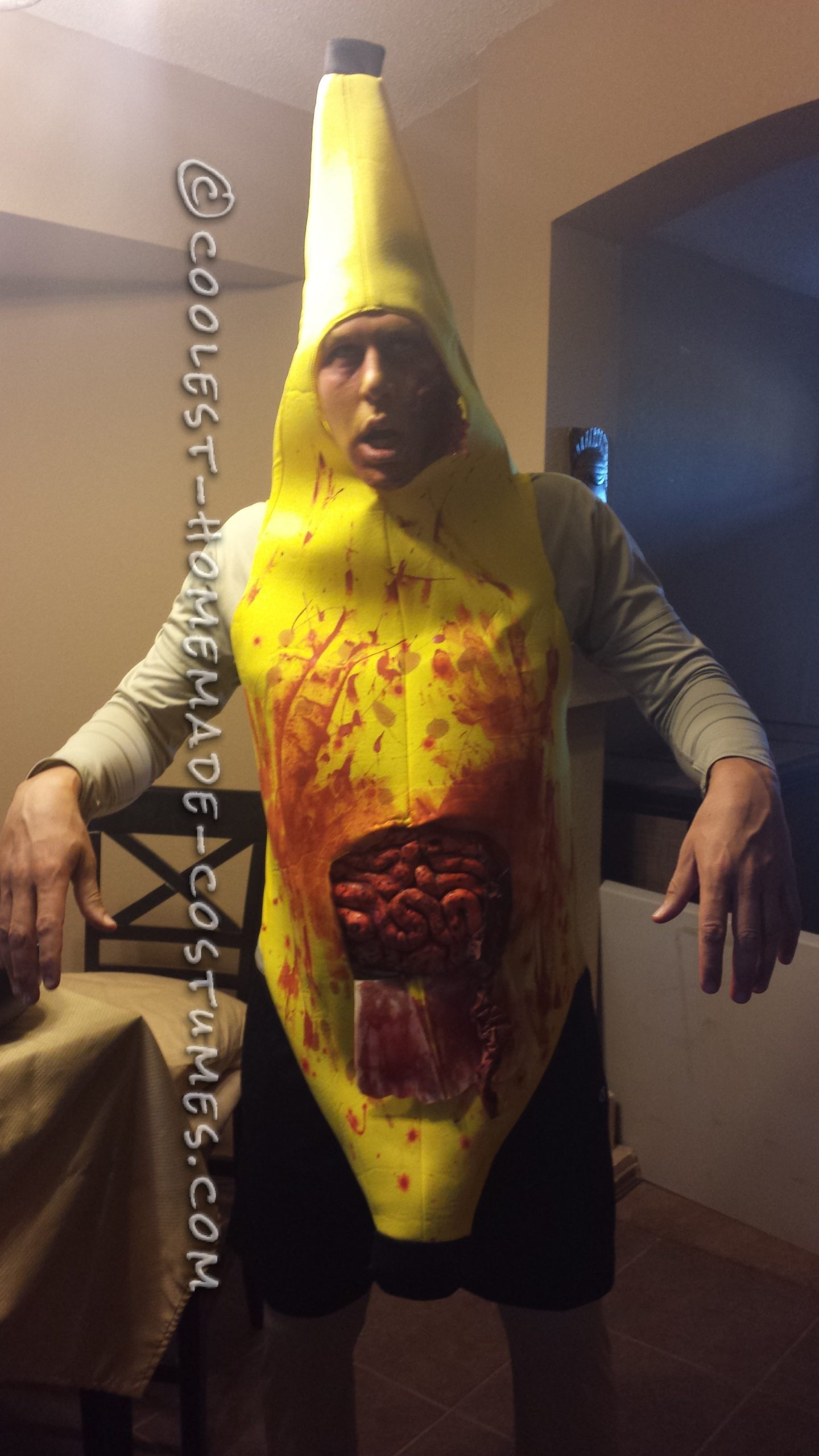 Coolest Homemade Costumes