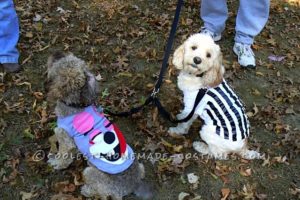 Disfraces divertidos para perros: no hacer twerking, por favor…
