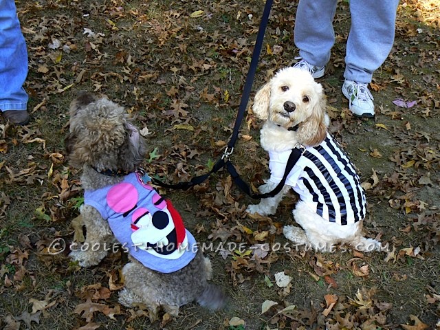 Coolest Homemade Costumes