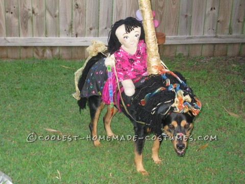 Divertido disfraz de caballo de carrusel para perro
