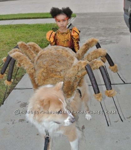 Traje de araña para perros y princesa araña para niños.