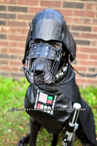 Disfraces para perros de Star Wars: Dogs Strike Back