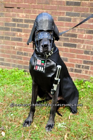 Disfraces para perros de Star Wars: Dogs Strike Back