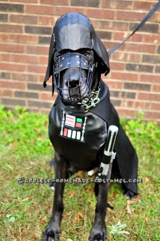 Disfraces para perros de Star Wars: Dogs Strike Back