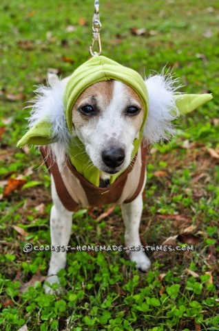 Disfraces para perros de Star Wars: Dogs Strike Back