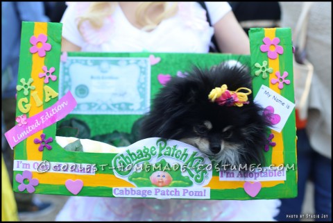 Disfraz de perro Cabbage Patch para lindo Pomerania