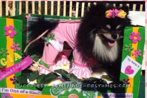 Disfraz de perro Cabbage Patch para lindo Pomerania