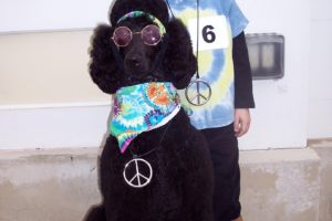 Gran disfraz de Halloween para perros: Howl-O-Hippie