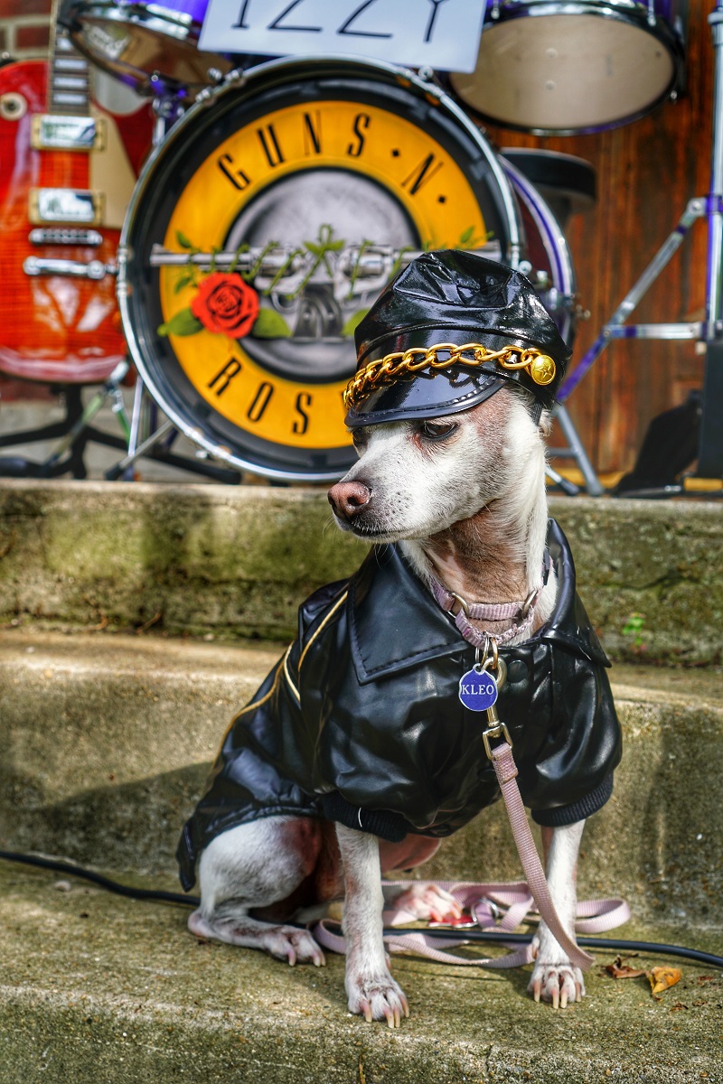 El disfraz de Halloween familiar más genial hecho a mano - Disfraces de Guns N' Roses