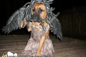 La mejor idea de disfraz de Halloween único de perro medusa DIY