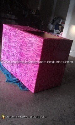 Disfraz casero de Jane en una caja para silla de ruedas
