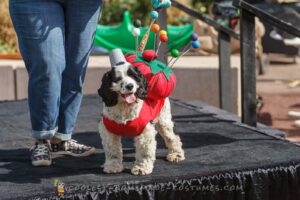 Adorable disfraz de mascota hecho con un alfiletero para perro