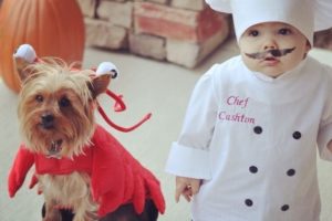 DISFRAZ PERRO LANGOSTA Y PEQUEÑO COCINERO