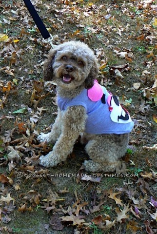 Disfraces divertidos para perros: no hacer twerking, por favor...
