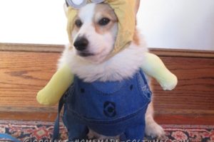 Disfraz de perro minion loco de Bonnie