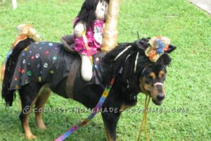 Divertido disfraz de caballo de carrusel para perro