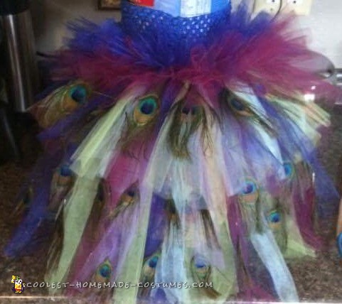 Pavo real