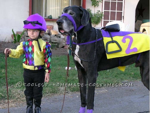 Coolest Homemade Costumes