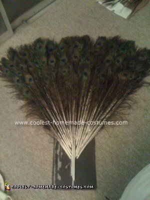 Disfraz casero de pavo real para Halloween