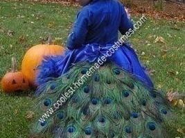 La mejor idea de disfraces de Halloween para un hermoso pavo real en casa